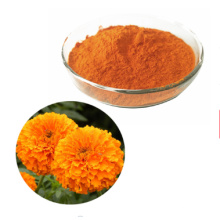 Hot selling natural food coloring marigold flower extract powder lutein 5%-80%